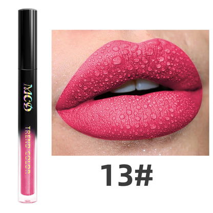 VAIX Matte Velvet Lip Gloss